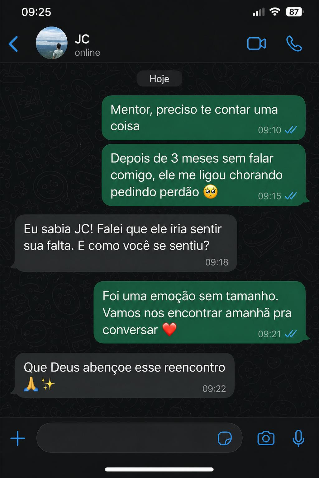 Depoimento WhatsApp 2